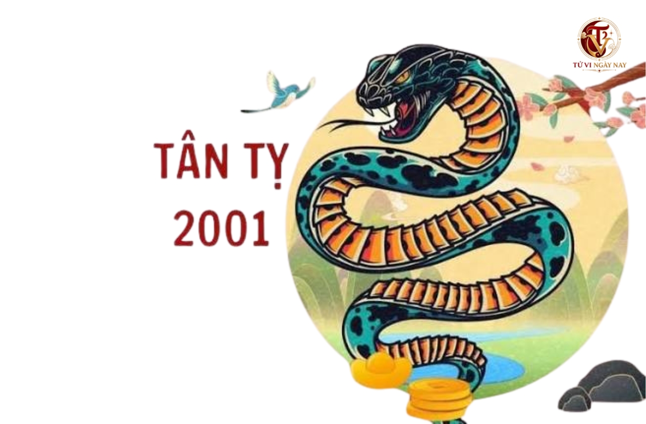 Tuổi Tân Tỵ 2001 hợp với tuổi nào trong làm ăn, lấy vợ chồng tuổi gì?