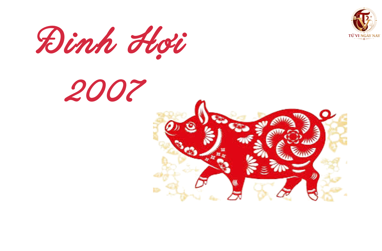 Tuổi Đinh Hợi 2007 hợp với tuổi nào trong làm ăn, lấy vợ chồng tuổi gì?