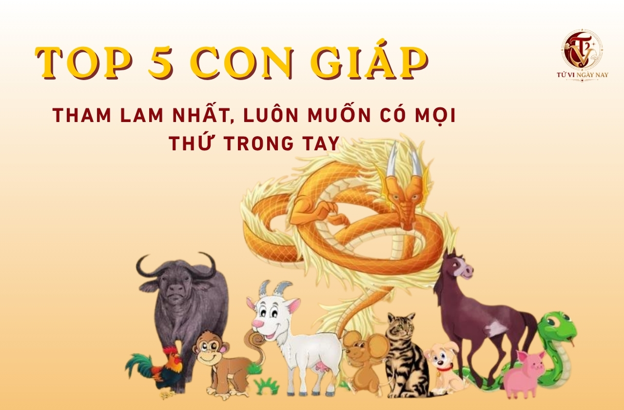 Top 5 con giáp tham lam nhất, luôn muốn có mọi thứ trong tay